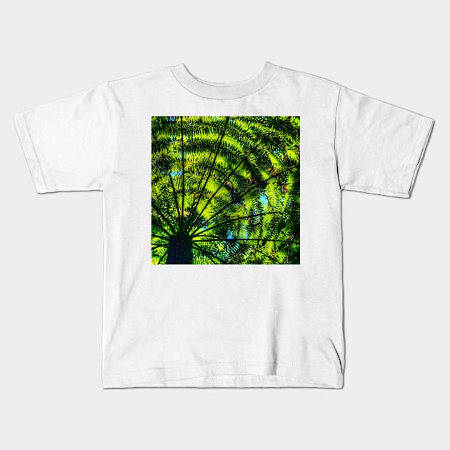 Patterns of fern & light Kids T-Shirt by Michaelm43